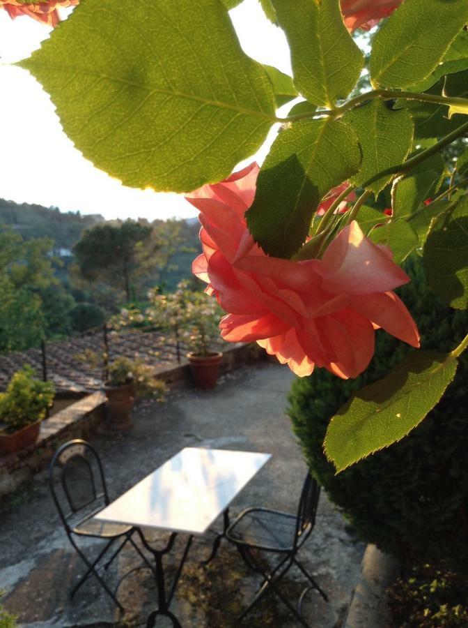 Fiesole In Giardino B&B Bagian luar foto